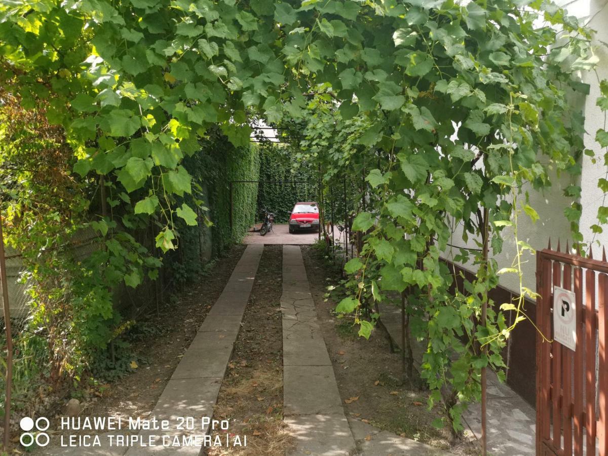 Enjoy Hostel Cluj-Napoca Exterior photo